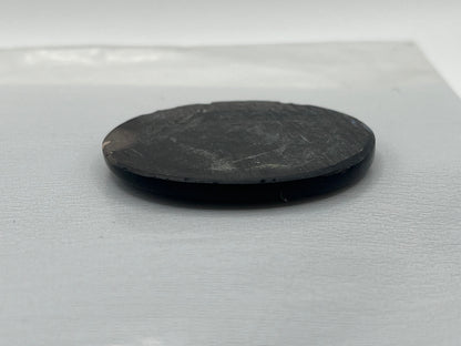 Eden Valley Petrified Wood Cabochon 20