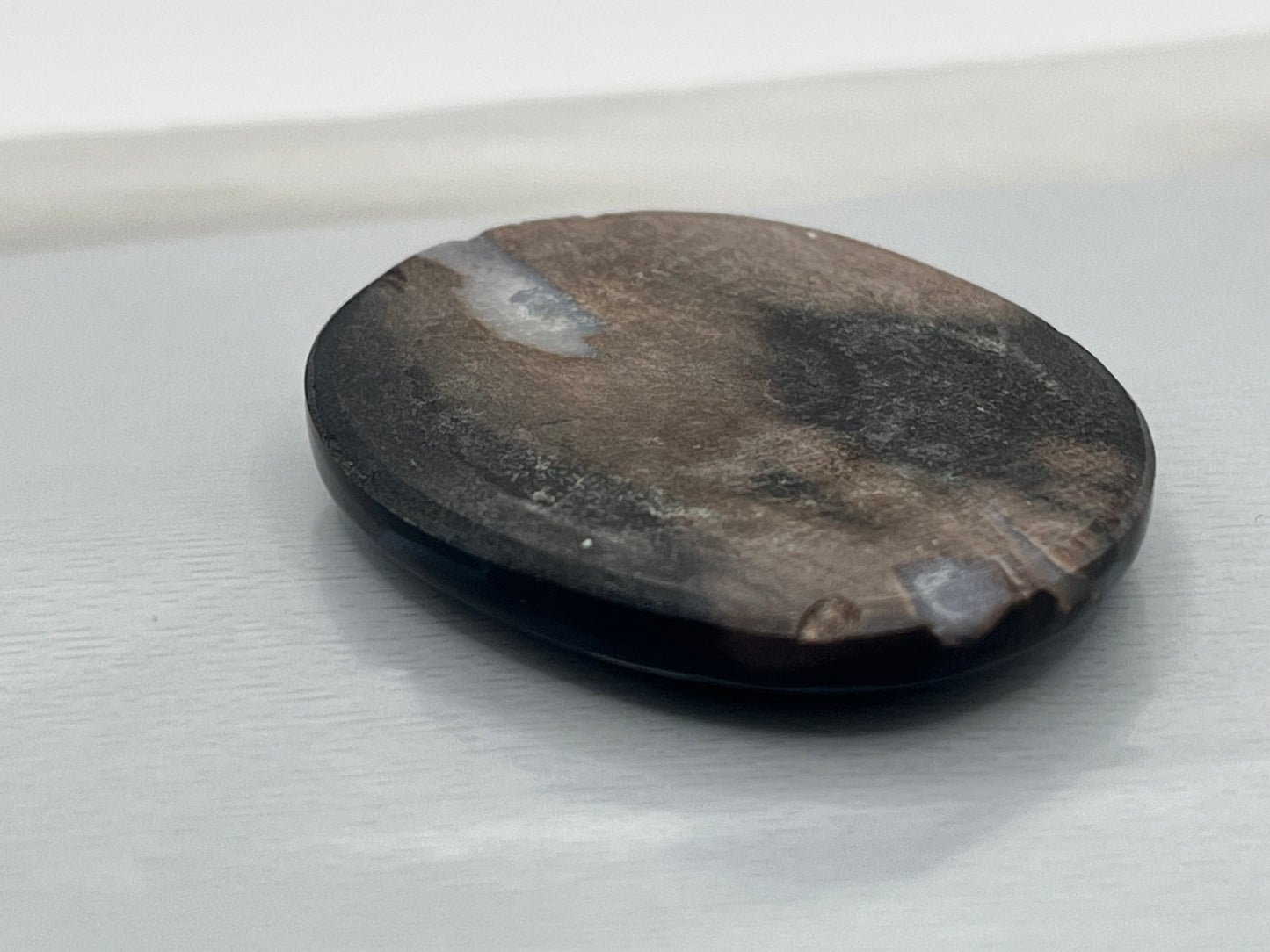 Eden Valley Petrified Wood Cabochon 29