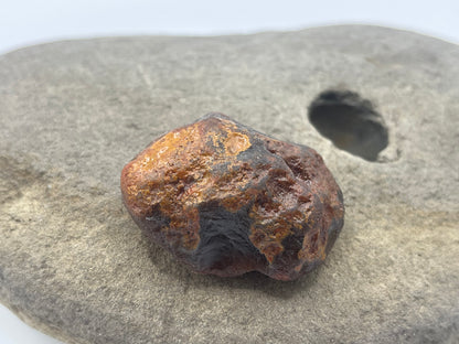 Limonite Stained LSA 8