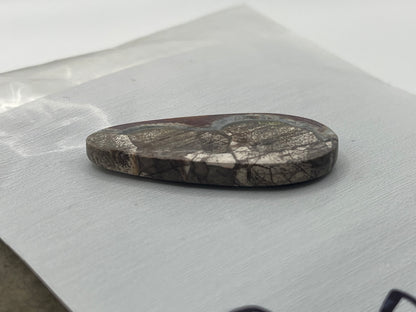 Mushroom Ryolite Cabochon 6