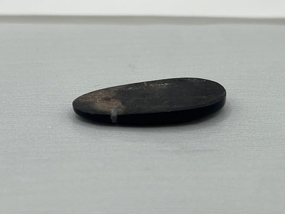Eden Valley Petrified Wood Cabochon 21