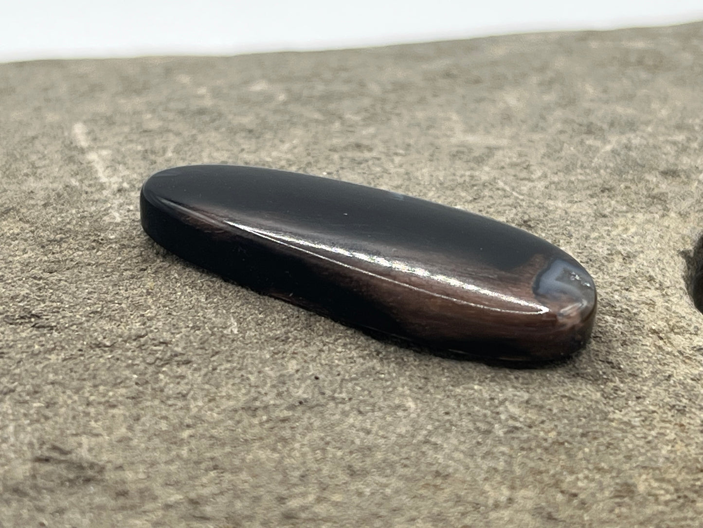 Eden Valley Petrified Wood Cabochon 15