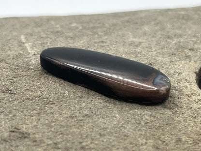 Eden Valley Petrified Wood Cabochon 15