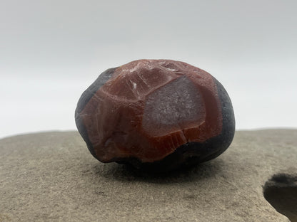 Micro Bander with Black Husk LSA 11