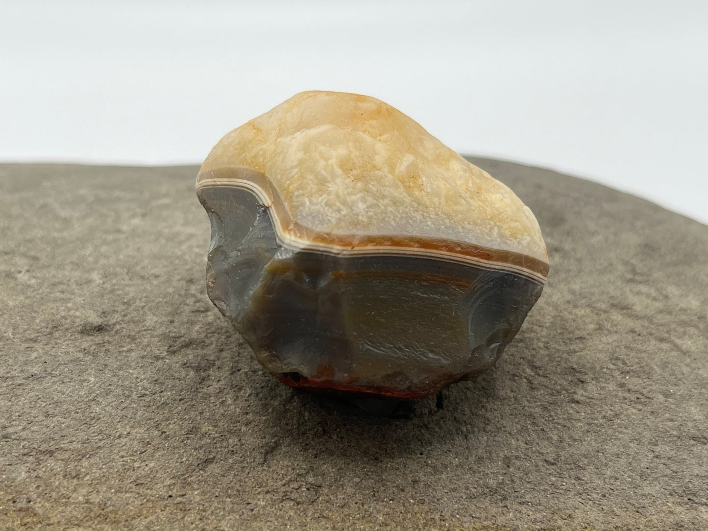 Limonite Stained LSA 17