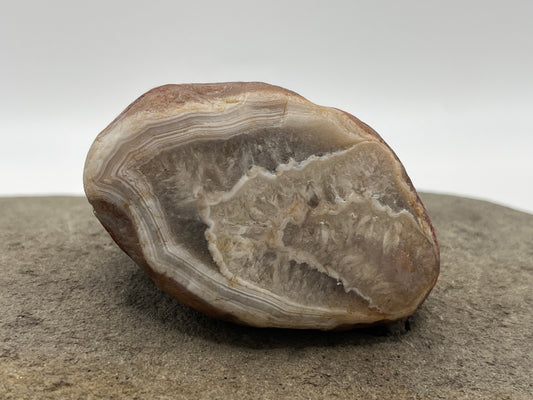 White Banded Floater LSA 53