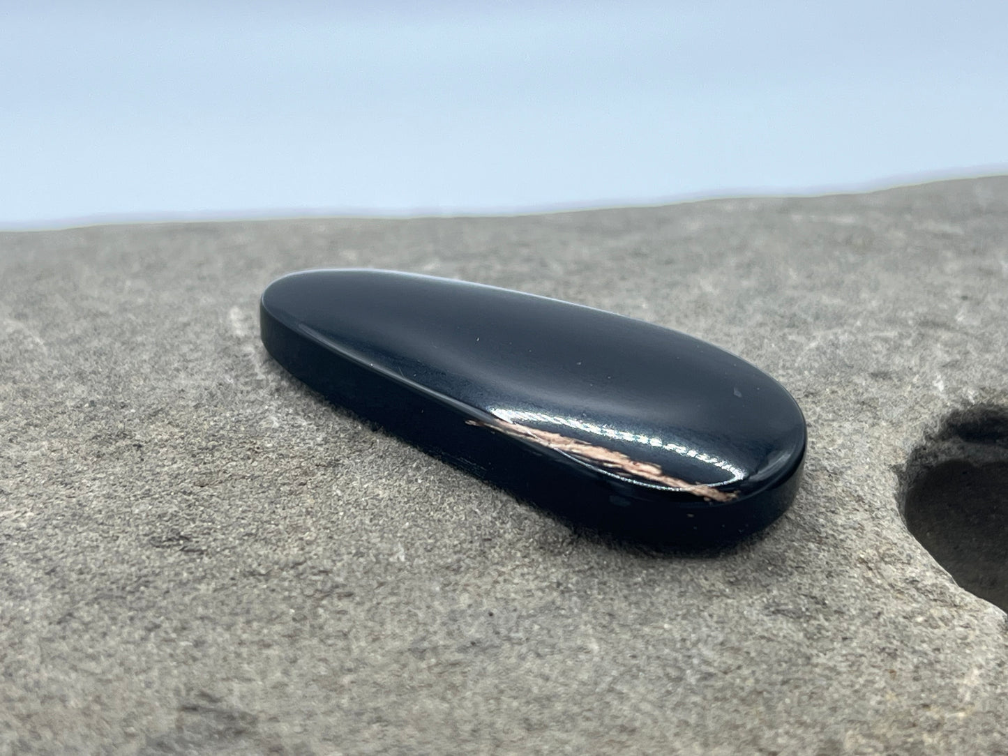 Eden Valley Petrified Wood Cabochon 19