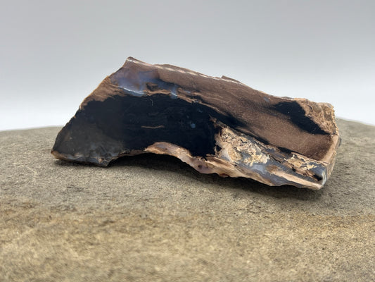 Eden Valley Petrified Wood Specimen 1