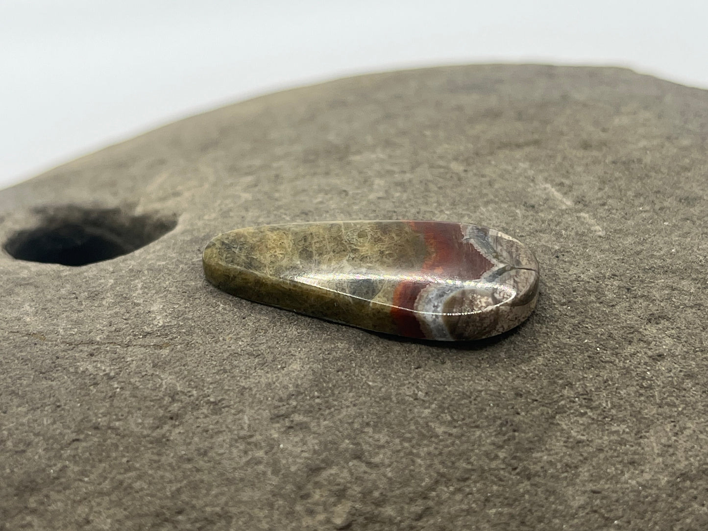 Mushroom Ryolite Cabochon 1