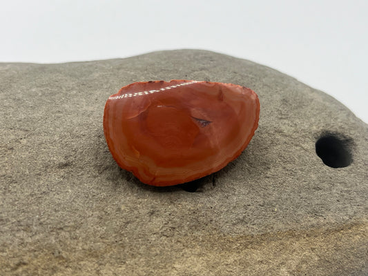 Lake Superior Agate Specimen 15