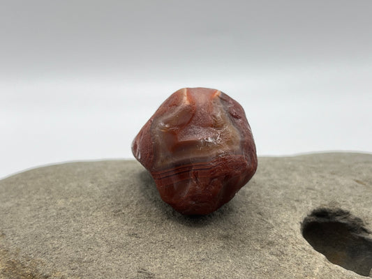 Red and White Banded LSA 13