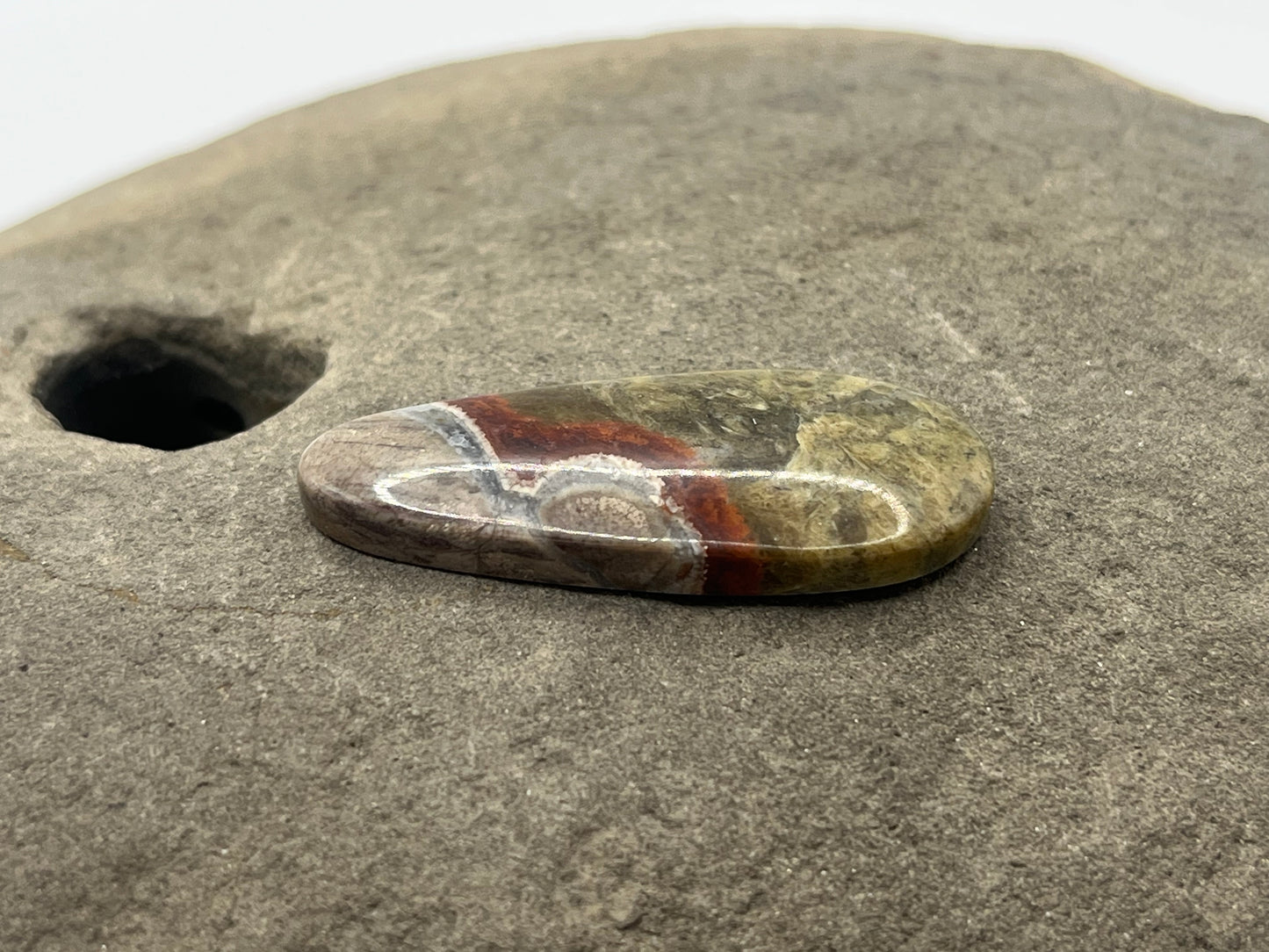 Mushroom Ryolite Cabochon 5