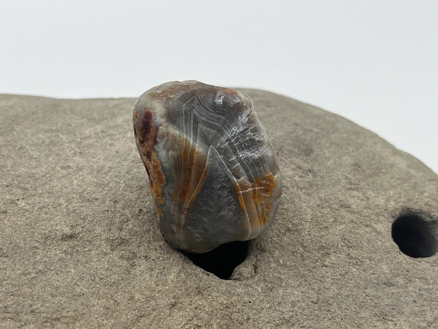Spotted Limonite Stained LSA 54