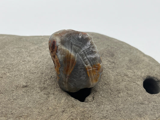 Spotted Limonite Stained LSA 54