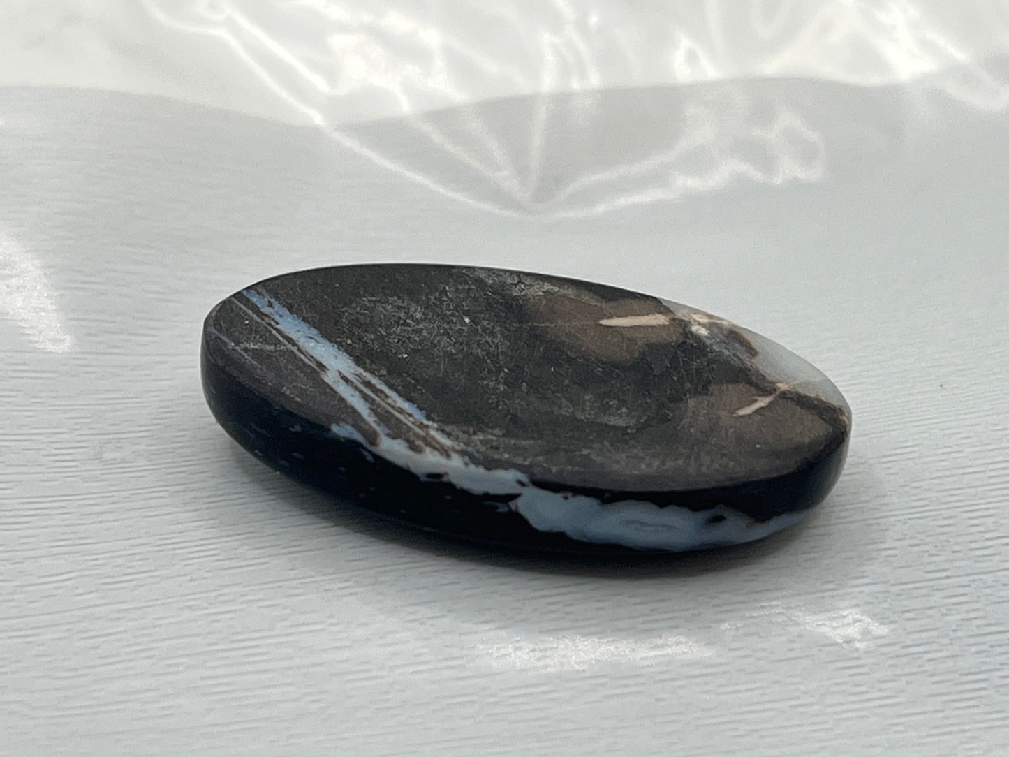 Eden Valley Petrified Wood Cabochon 12