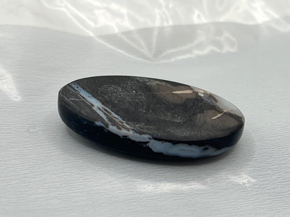 Eden Valley Petrified Wood Cabochon 12
