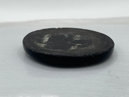 Eden Valley Petrified Wood Cabochon 24