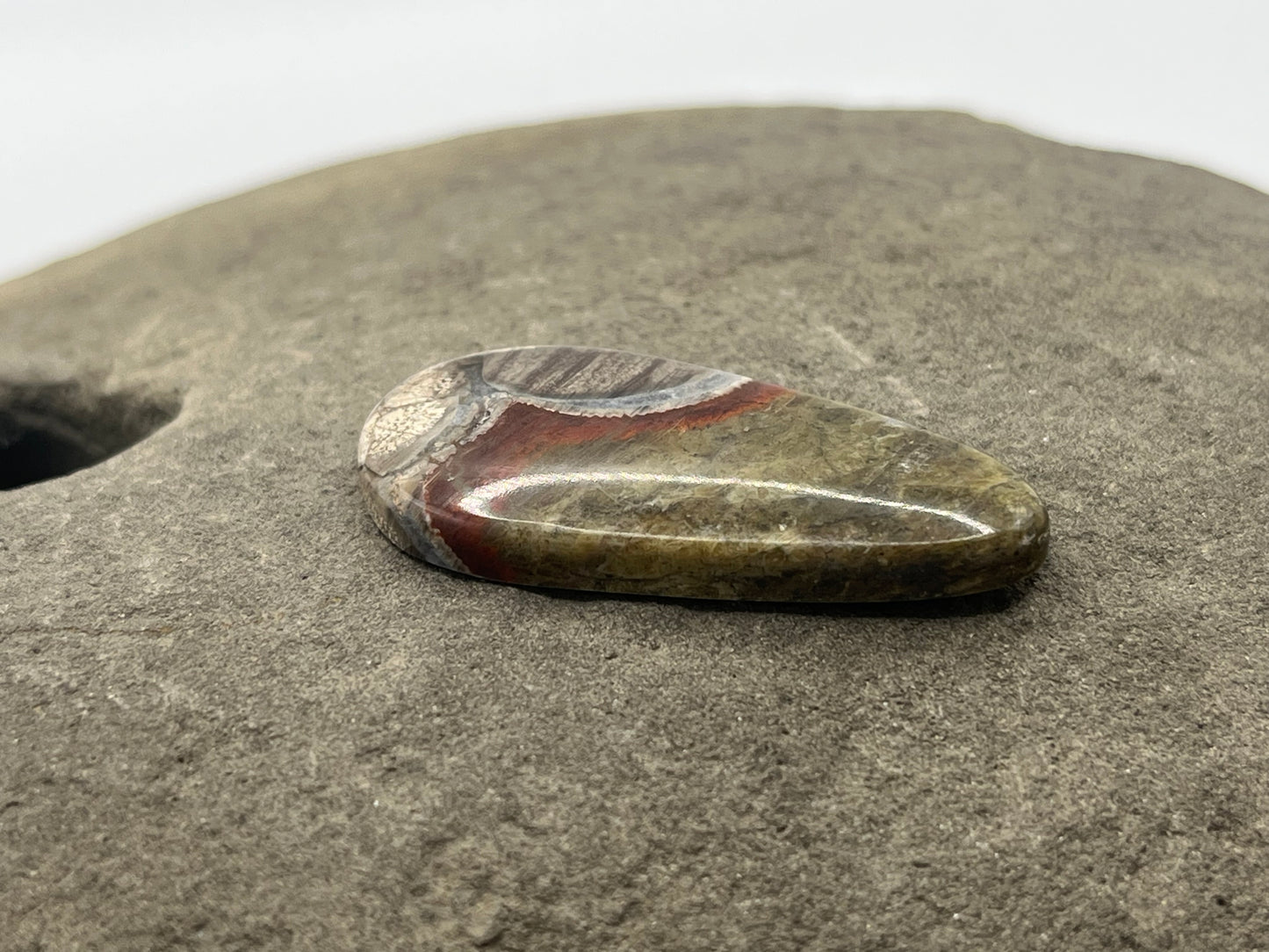 Mushroom Ryolite Cabochon 8