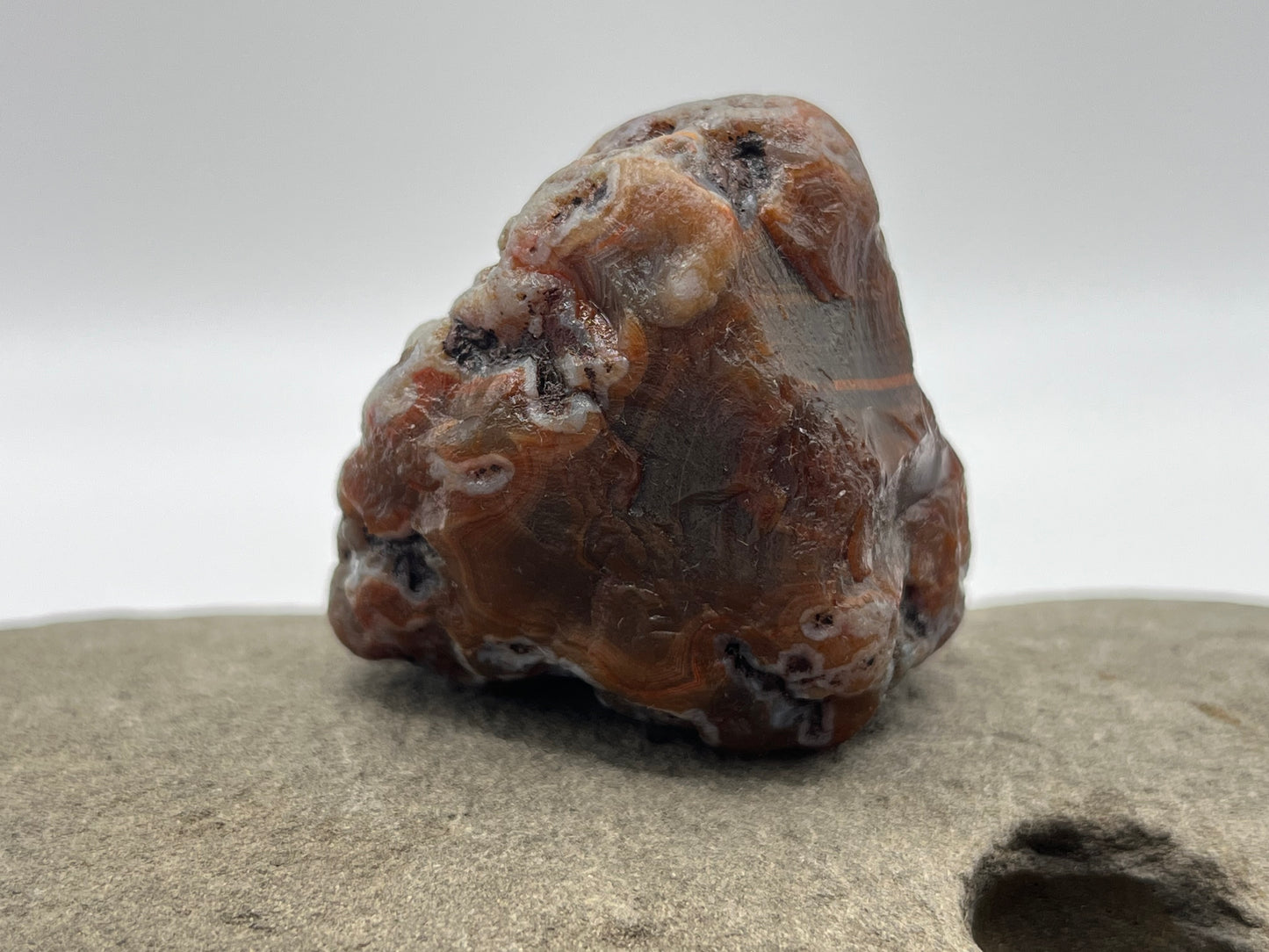 Root Beer Bander LSA 36