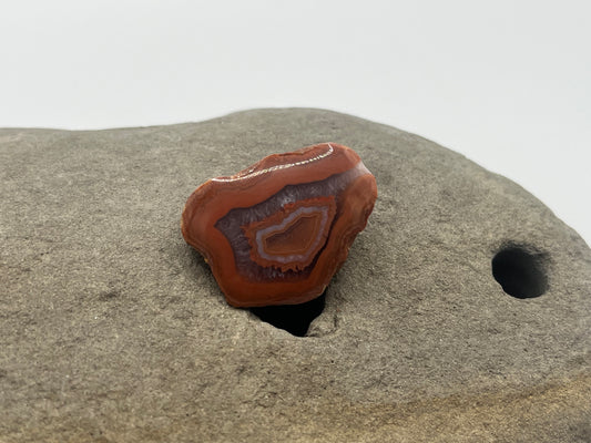 Lake Superior Agate Specimen 26