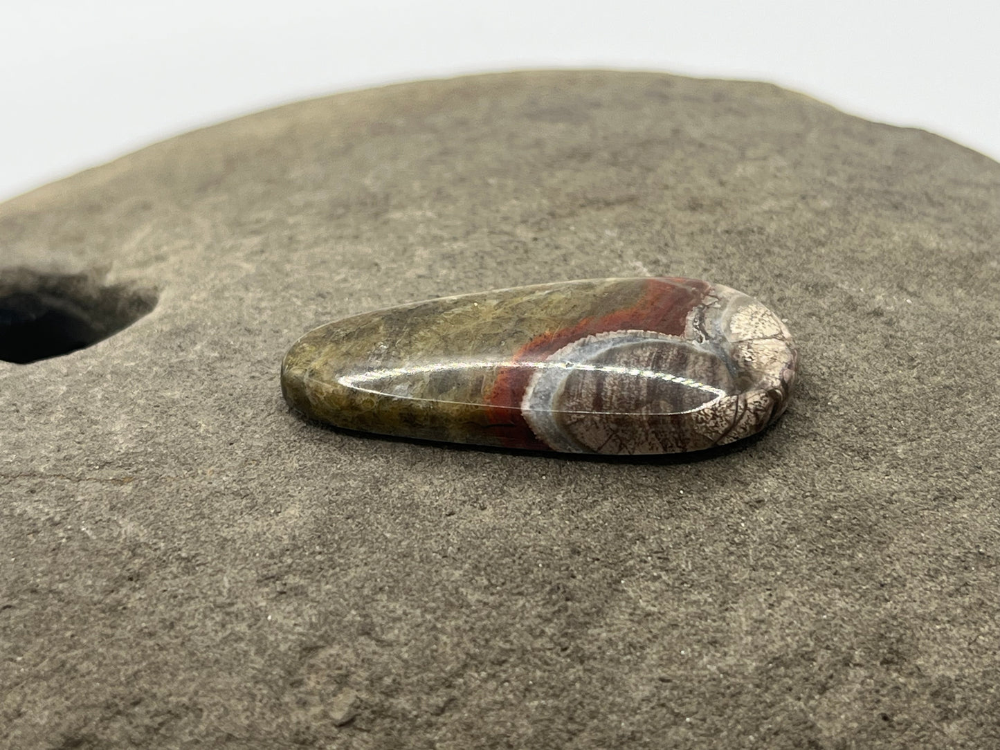 Mushroom Ryolite Cabochon 8