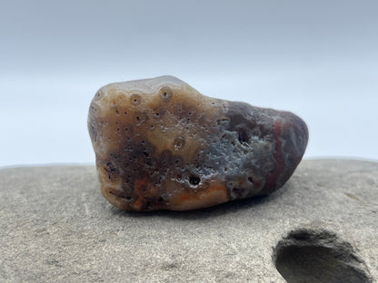 Botryoidal Tuber LSA 4