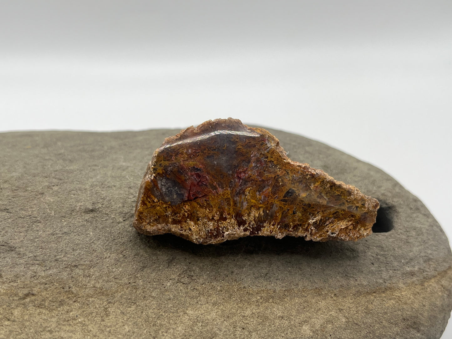 Coyamito Agate Specimen 5