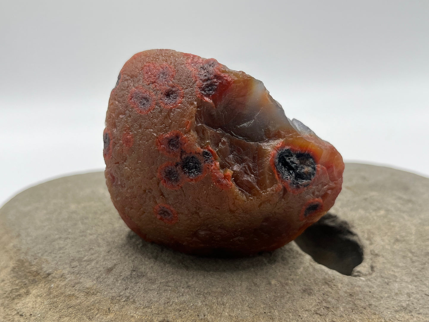 Shadow Bander LSA 33