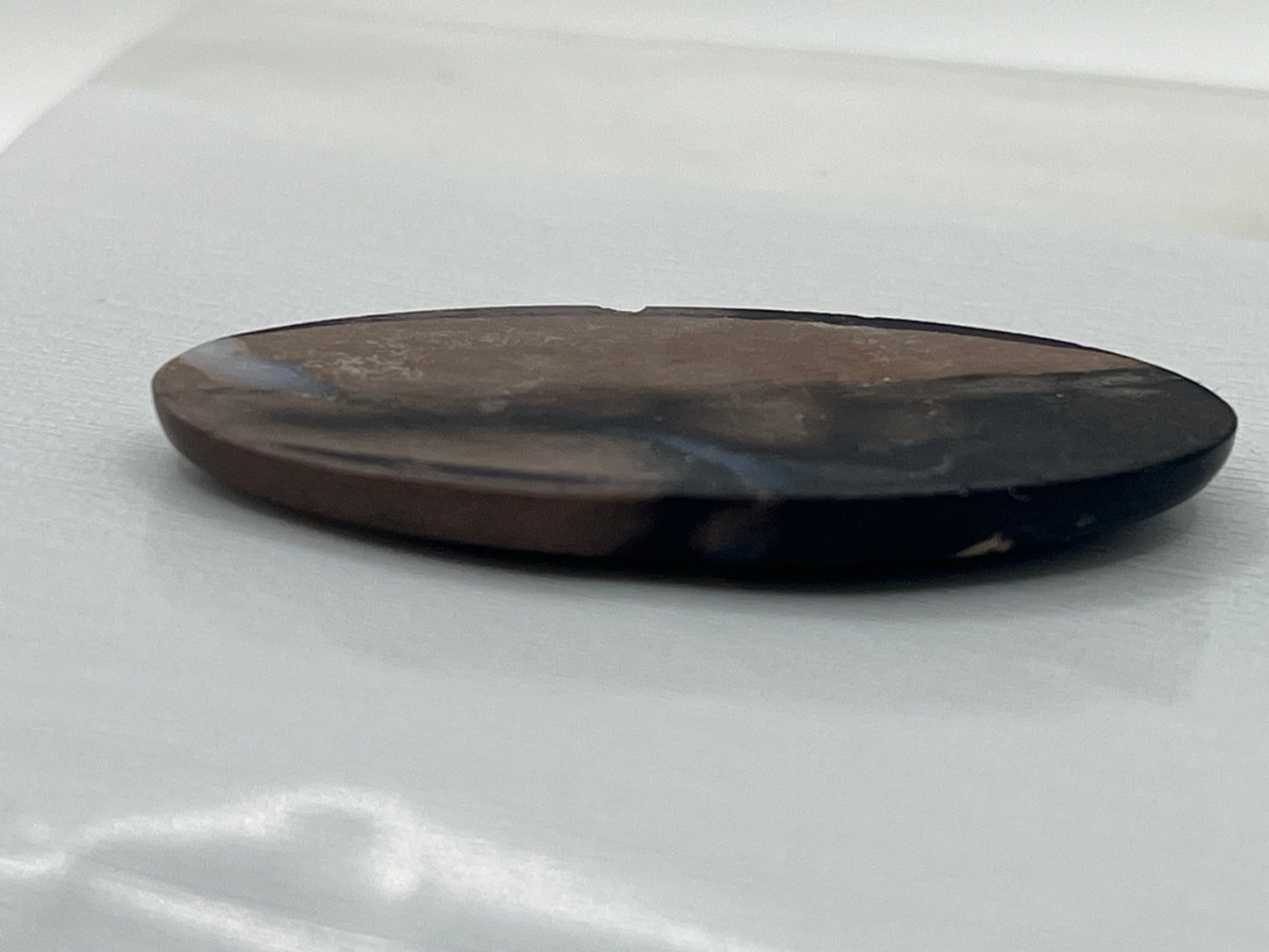 Eden Valley Petrified Wood Cabochon 3