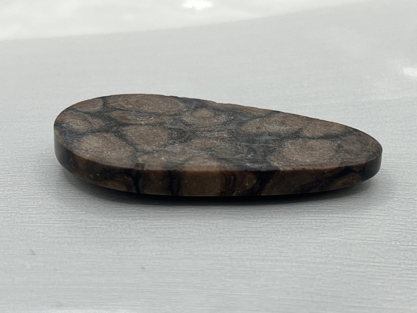 Eden Valley Petrified Wood Cabochon 23