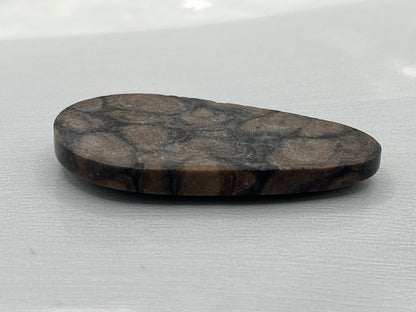 Eden Valley Petrified Wood Cabochon 23