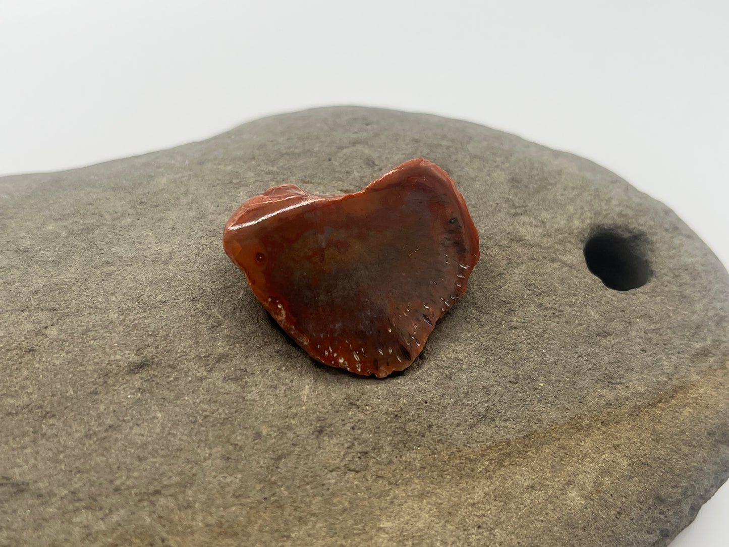 Lake Superior Agate Specimen 7