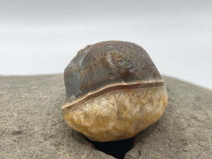 Limonite Stained LSA 17