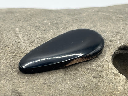 Eden Valley Petrified Wood Cabochon 30