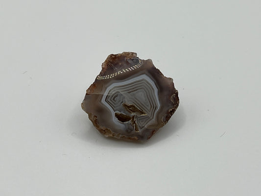 Botswali Agate Specimen 29