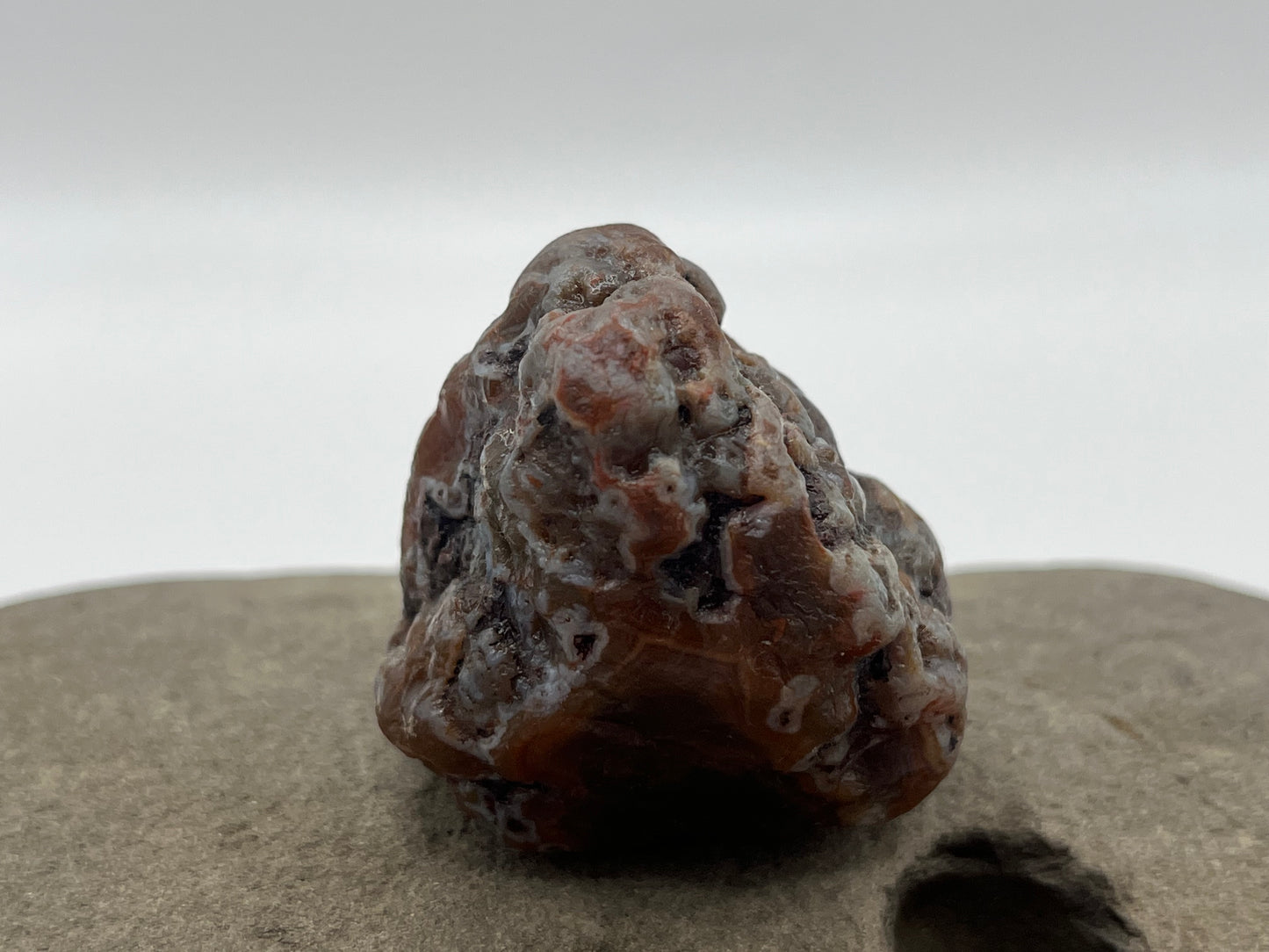 Root Beer Bander LSA 36