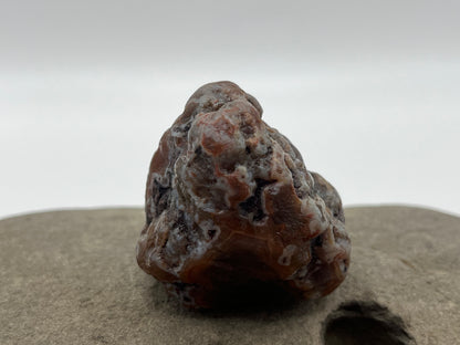 Root Beer Bander LSA 36