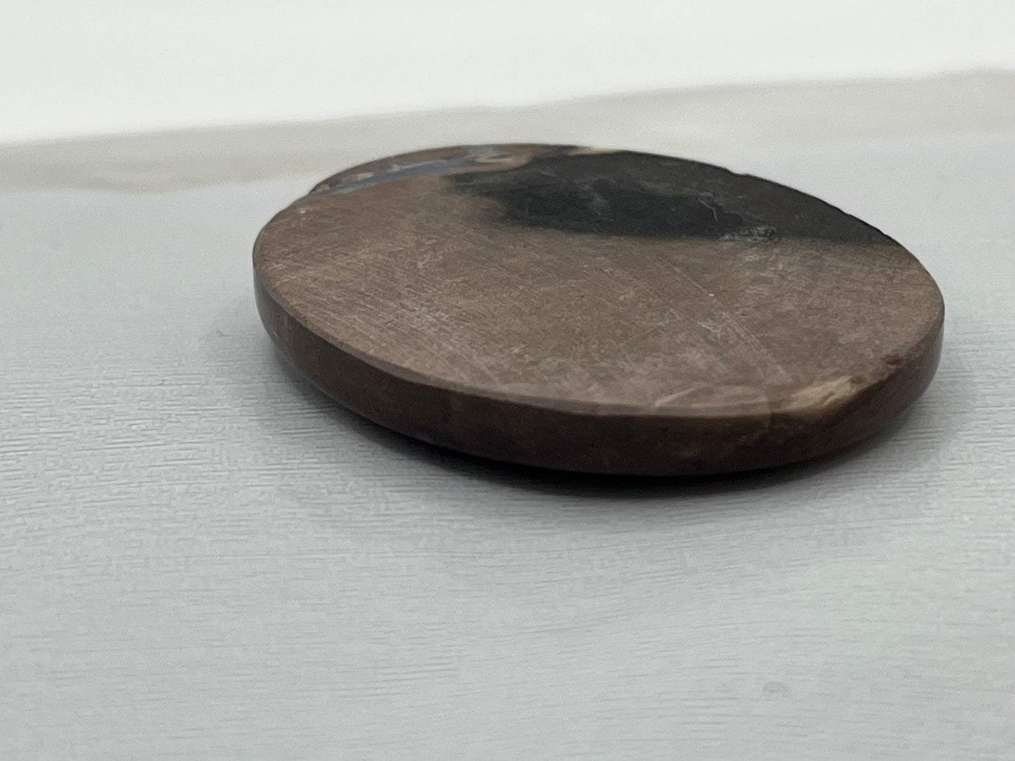 Eden Valley Petrified Wood Cabochon 17