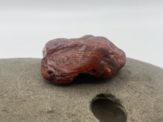 Red Pealer with Floater bands LSA 51