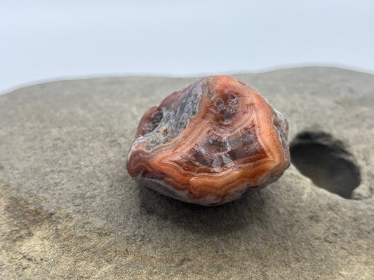 Blue and Red Husked LSA 9