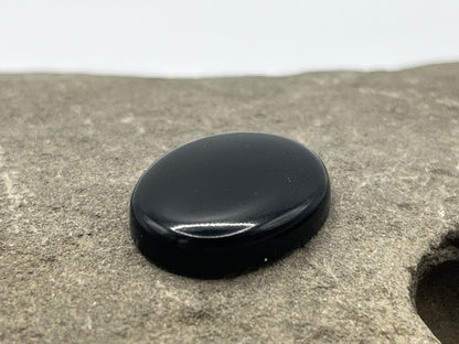 Eden Valley Petrified Wood Cabochon 6