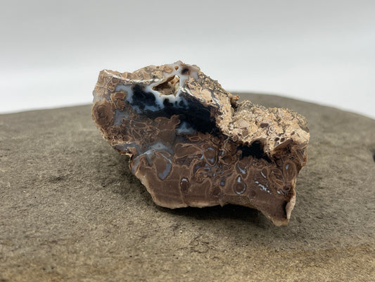 Eden Valley Petrified Wood Specimen 3