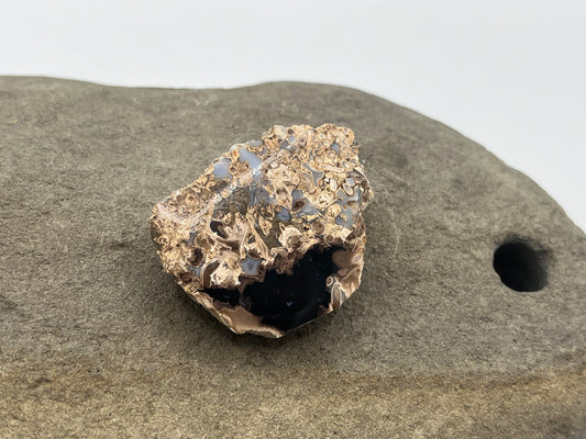 Eden Valley Petrified Wood Specimen 4