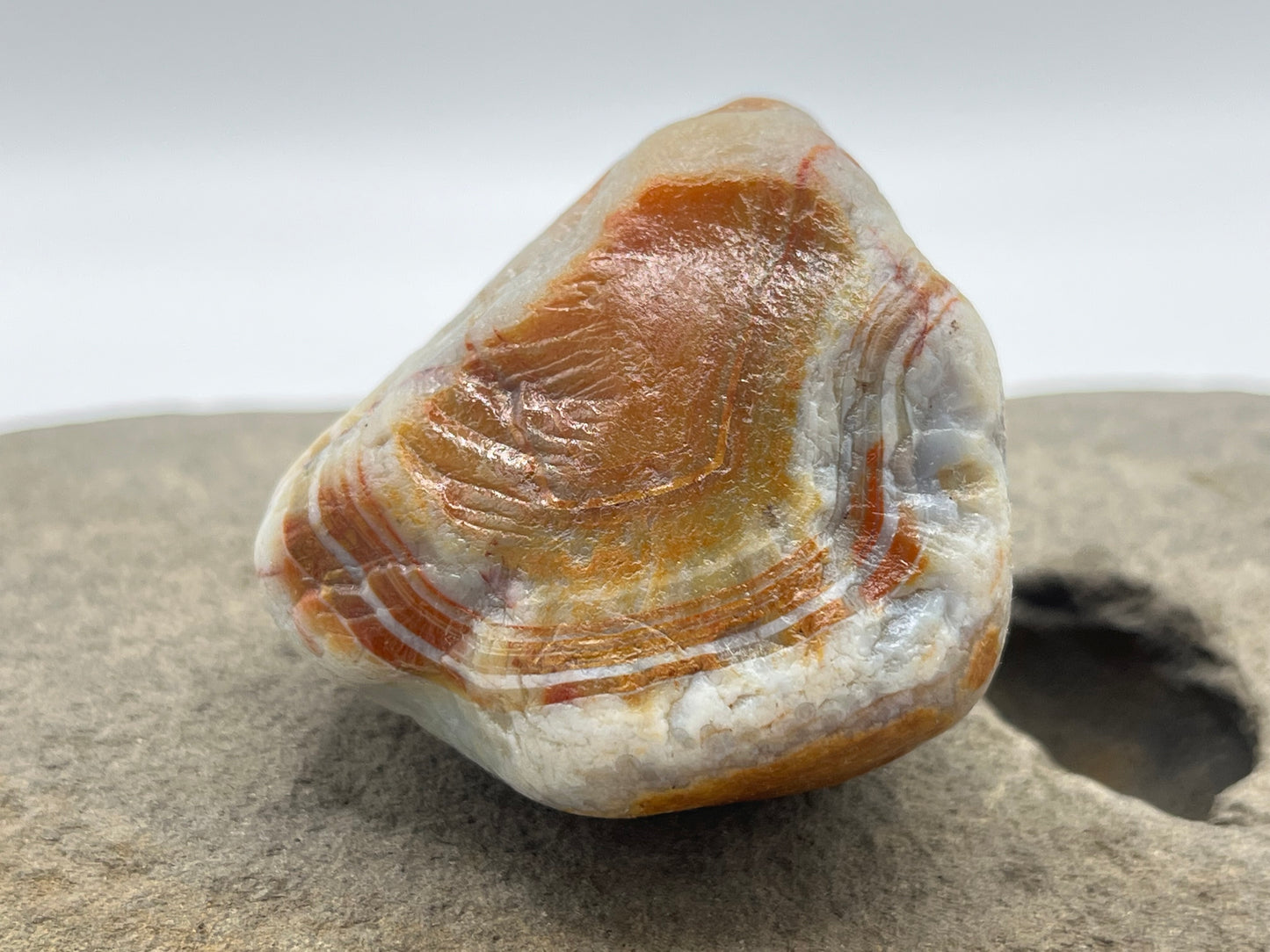 Limonite Stained LSA 24