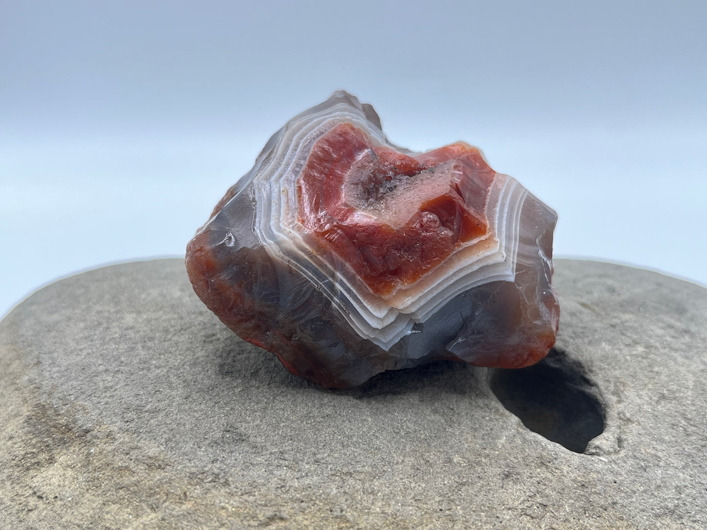 Shadow Bander LSA 33