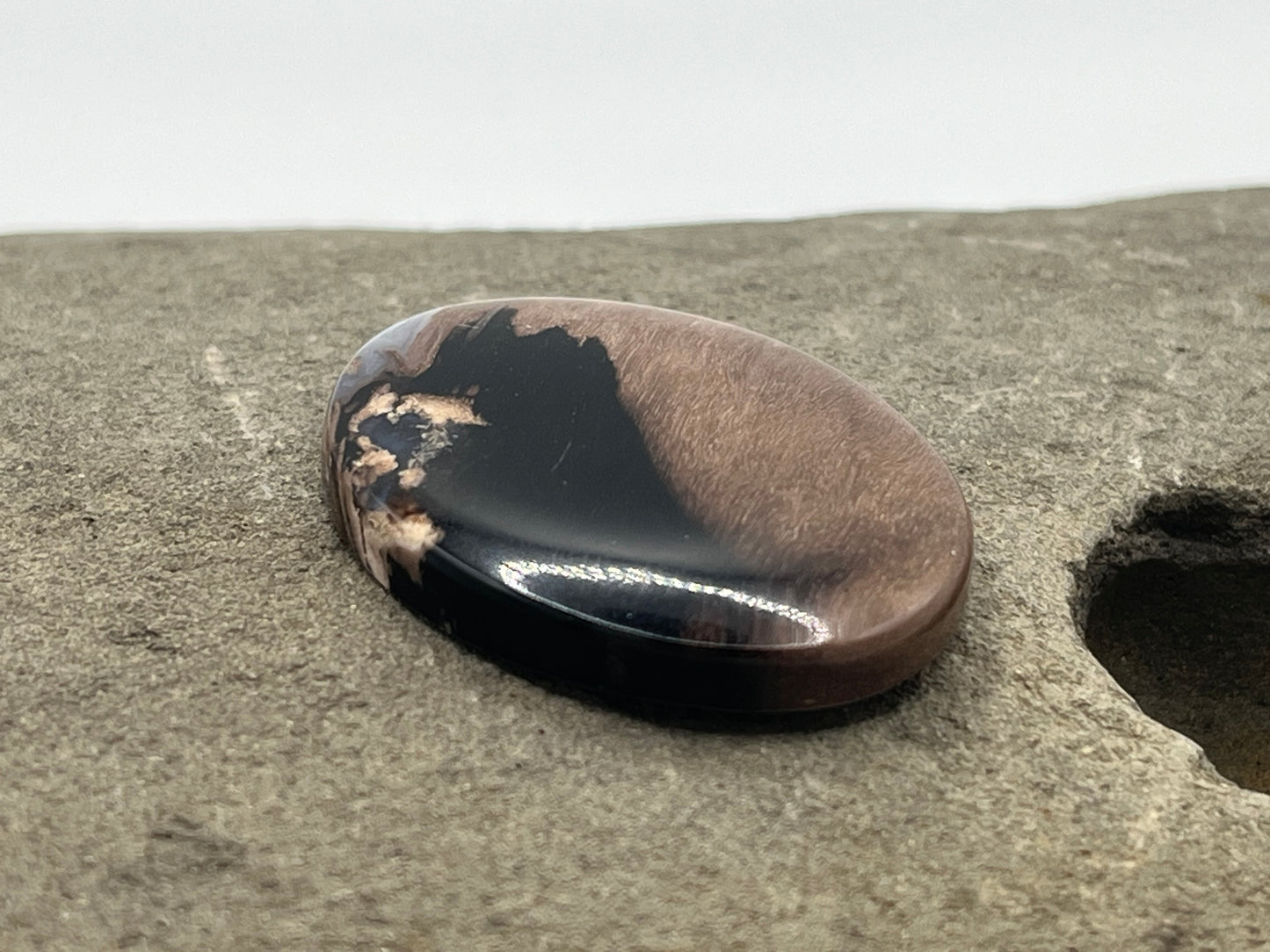 Eden Valley Petrified Wood Cabochon 17