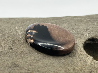Eden Valley Petrified Wood Cabochon 17