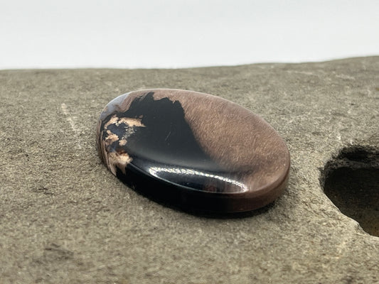 Eden Valley Petrified Wood Cabochon 17