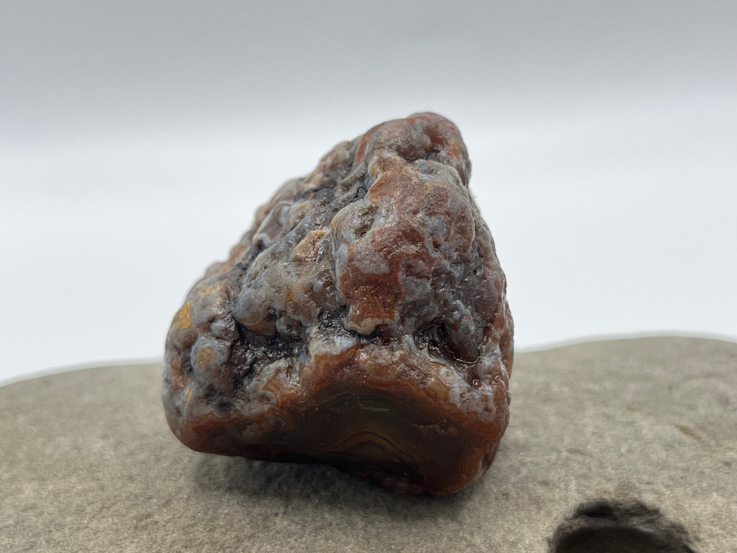 Root Beer Bander LSA 36