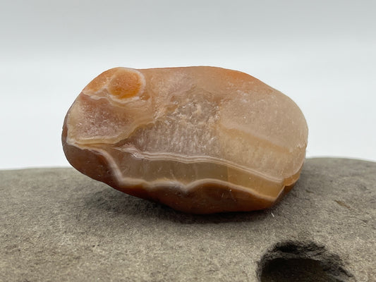 Quartzy Banded LSA 30